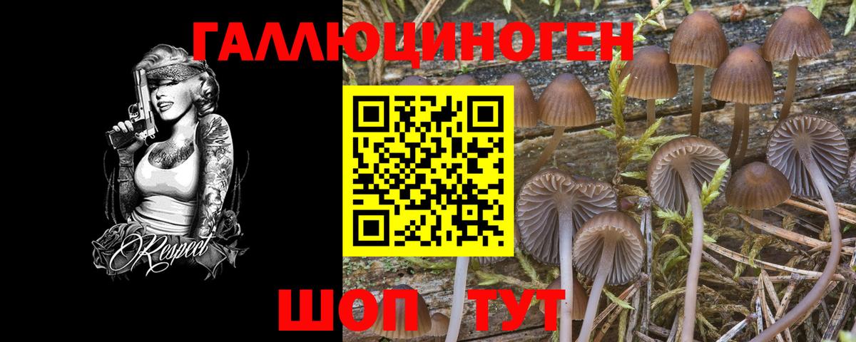 Псилоцибиновые грибы Psilocybe  Псилоцибиновые грибы MAGIC MUSHROOMS  Вход с VPN  Десногорск 
